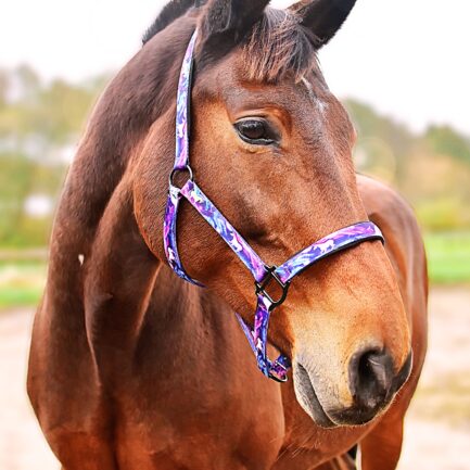 KANTAR “RADOŚĆ W KOSMOSIE”