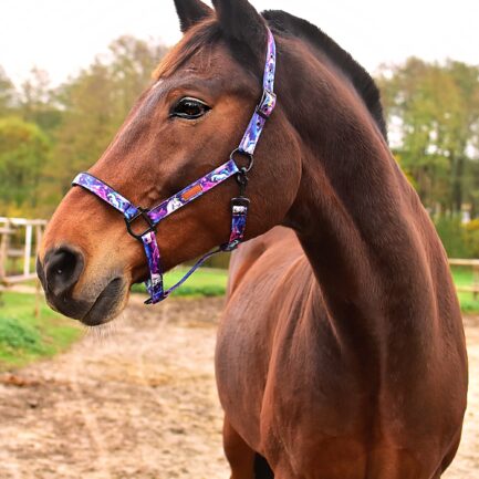 KANTAR “RADOŚĆ W KOSMOSIE”