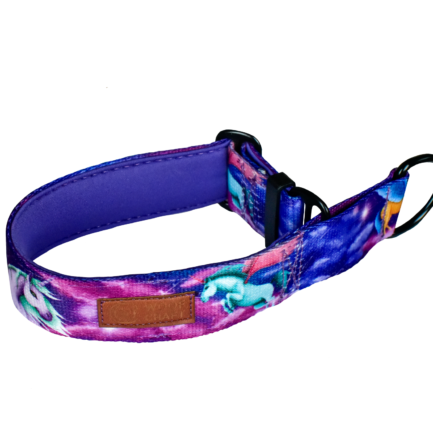 OBROŻA CHARCIA “RADOŚĆ W KOSMOSIE”