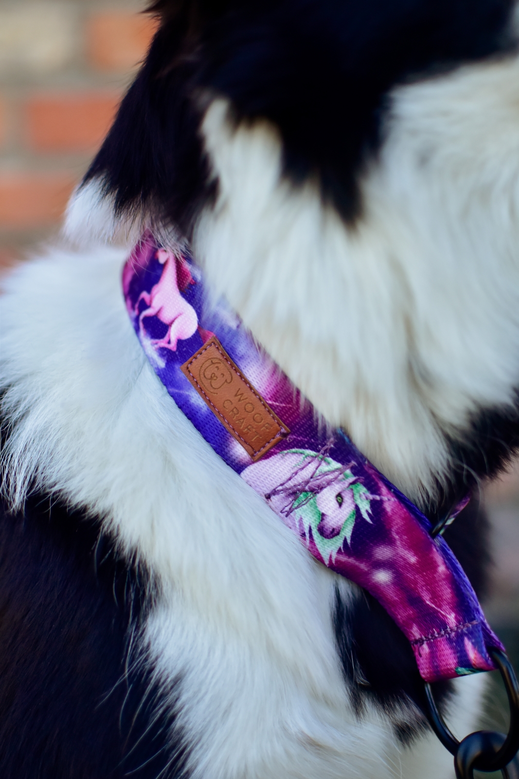 OBROŻA CHARCIA "RADOŚĆ W KOSMOSIE" - obrazek 3