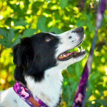 OBROŻA PÓŁZACISKOWA”RADOŚĆ W KOSMOSIE”