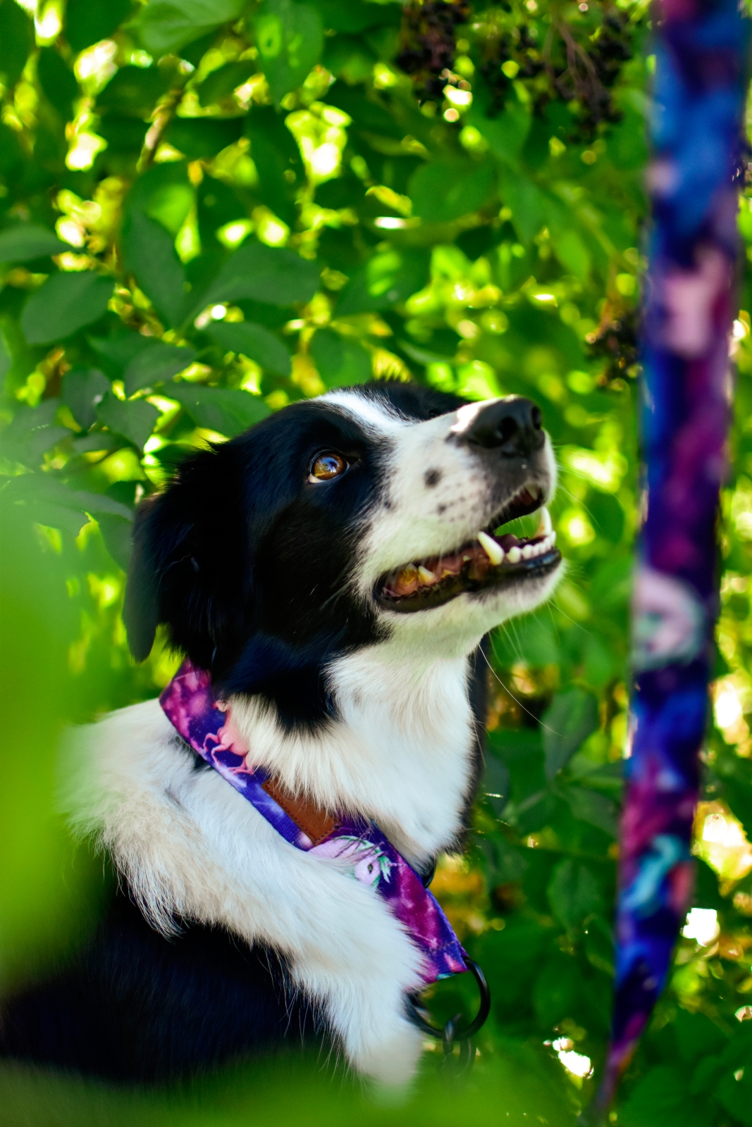 SMYCZ PRZEPINANA "RADOŚĆ W KOSMOSIE" - obrazek 3