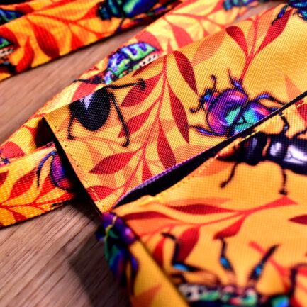 SASZETKA SPACEROWA “CHRZĄSZCZE I CHRABĄSZCZE”