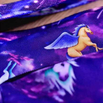 SASZETKA SPACEROWA “RADOŚĆ W KOSMOSIE”