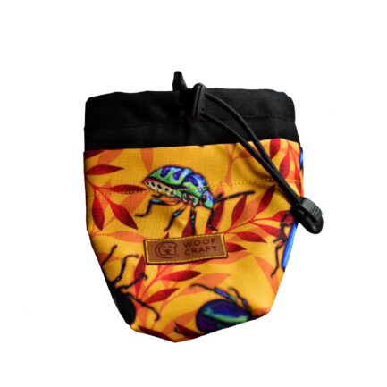 SASZETKA “CHRZĄSZCZE I CHRABĄSZCZE”