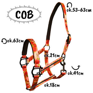 wymiary kantara w rozmiarze cob