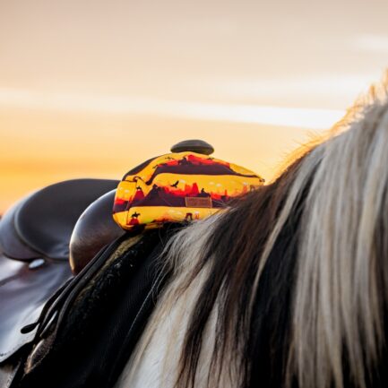 SAKWA NA SIODŁO WESTERNOWE “DZIKI ZACHÓD”