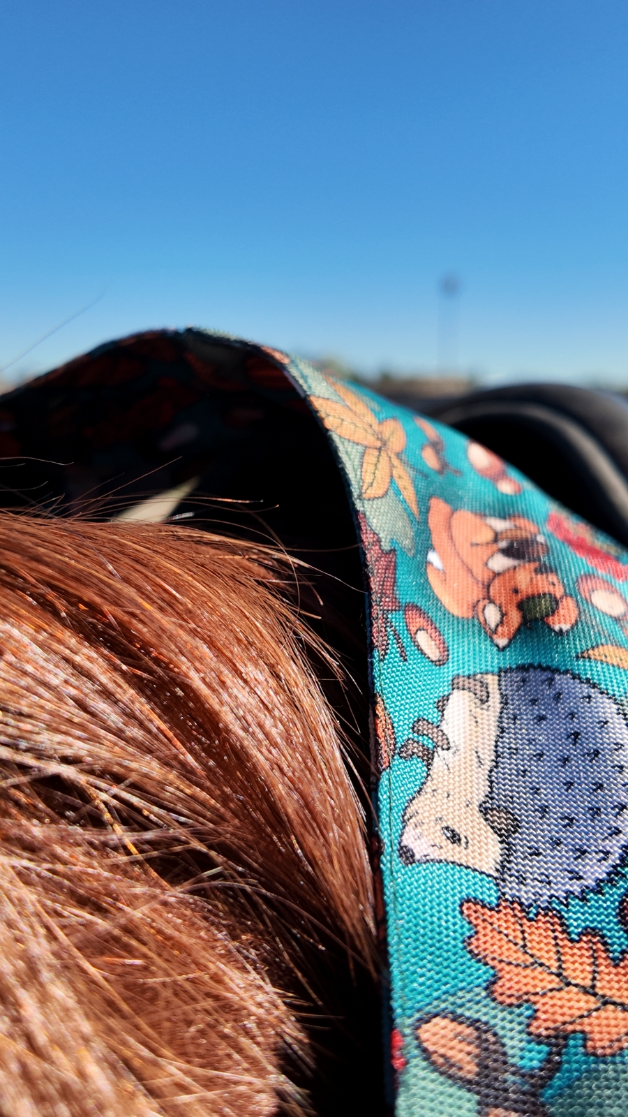 SAKWA NA SIODŁO KLASYCZNE - obrazek 6