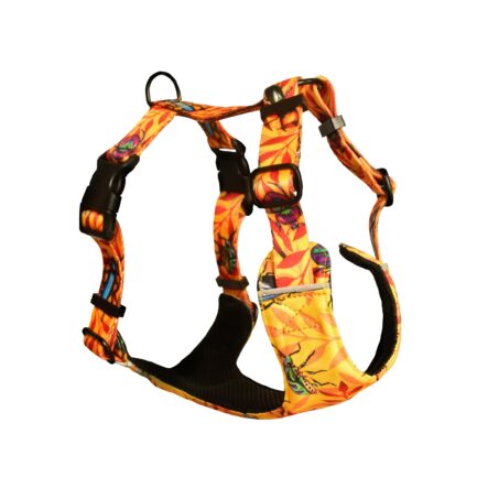 SZELKI BEZUCISKOWE “CHRZĄSZCZE I CHRABĄSZCZE”