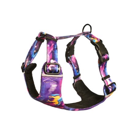 SZELKI BEZUCISKOWE “RADOŚĆ W KOSMOSIE”