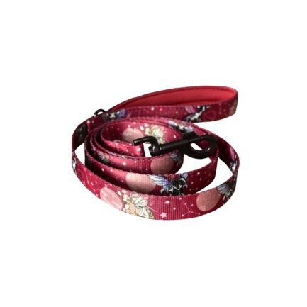 SMYCZ MIEJSKA “ASTROKROWY”