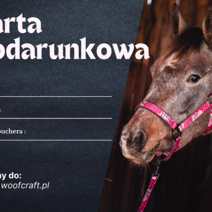 KARTA PODARUNKOWA DLA KONIARZA